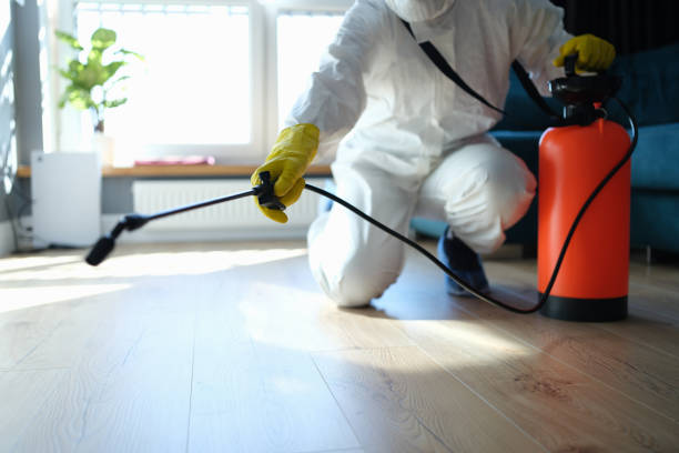 Reliable Odor Removal contractor in Caseyville, IL by Crime Scene Cleaner Online